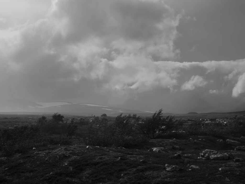 Black and white landscape photo of northern Norway by Michael Miller